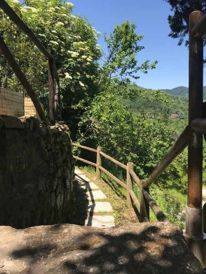 Ferienwohnung Antica Dimora Di Laura Barberino di Mugello Exterior foto