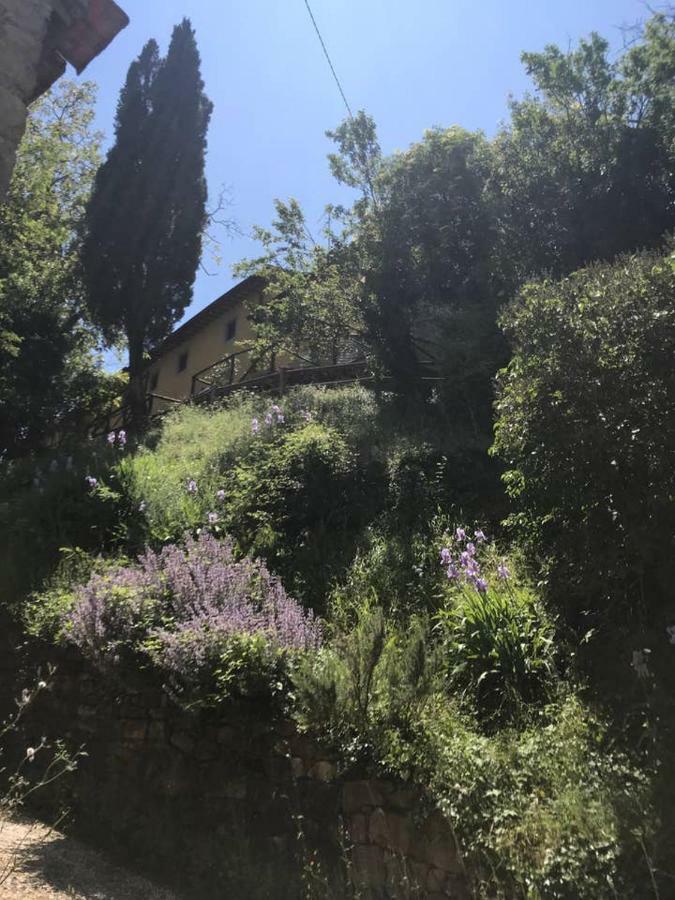 Ferienwohnung Antica Dimora Di Laura Barberino di Mugello Exterior foto